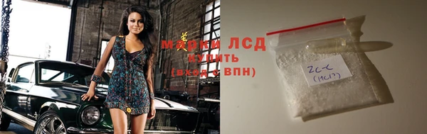 сатива Краснослободск
