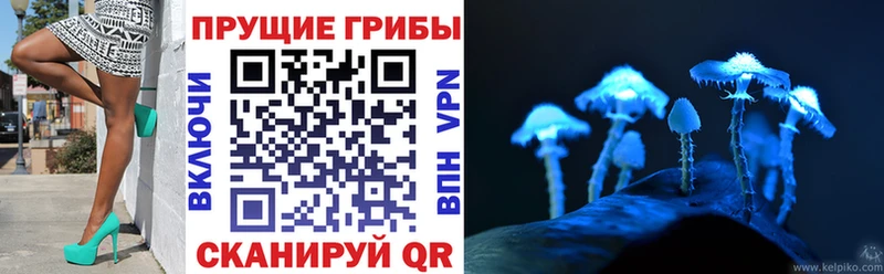 Галлюциногенные грибы прущие грибы  площадка официальный сайт  Бобров 